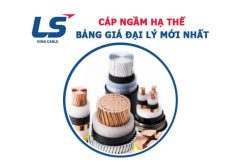 Báo Giá Cáp Ngầm Hạ Thế Cu/XLPE/PVC/DSTA/PVC - LS VINA