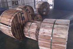Cáp Trung Thế LS VINA CK Cao