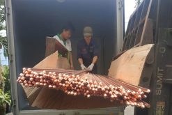 Bảng Giá Cọc Tiếp Địa Đồng D20