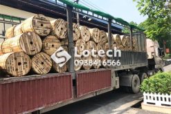 Phân Phối Cáp Z43 Bộ Quốc Phòng - Chuyên Cấp Hàng Dự Án