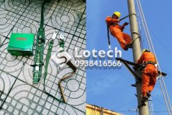 Dây An Toàn Đai Bụng Adela SC-19