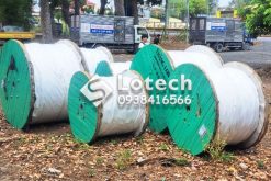 Cung Cấp Dây Cáp Điện Thăng Long Giá Tốt Cho Dự Án