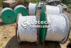Cáp Điện Lực Thăng Long CXV THALOCO