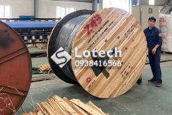 Cáp hạ thế Z43 Bộ Quốc Phòng
