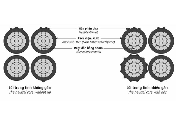 Cấu trúc cáp nhôm vặn xoắn hạ thế LV-ABC CADIVI