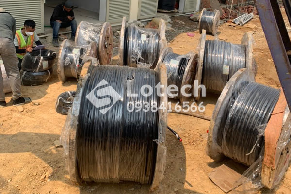 Lotech phân phối cáp điện TAYA chính hãng - giao hàng tận công trình