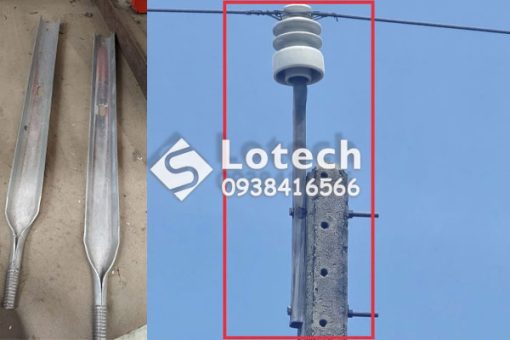 Chân Sứ Đỉnh Thẳng - Chân Sứ Đỉnh Cong